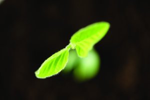 服务全面对比分析